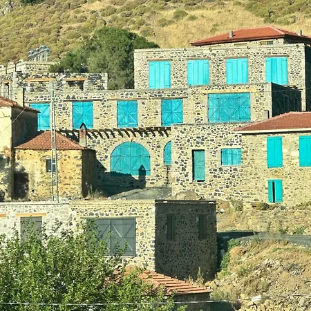 Fintoz Butika
