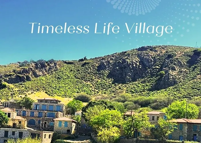 Fintoz Butika * قرابورون