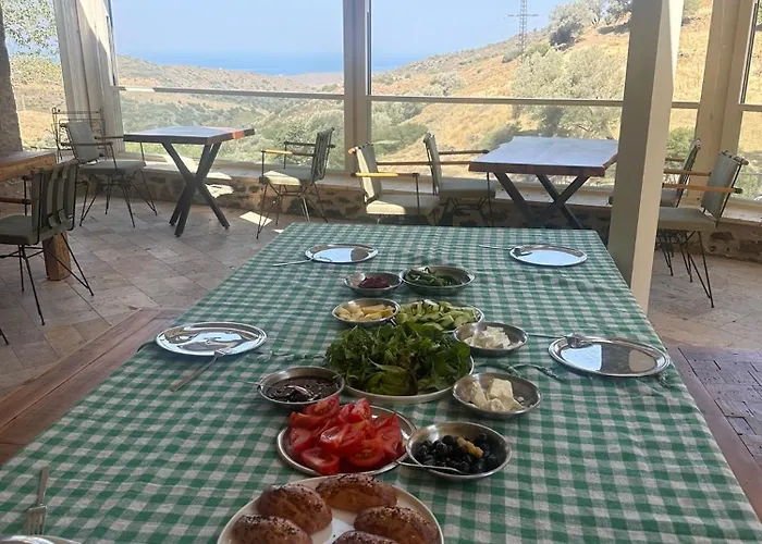 Tatil Evi Fintoz Butika *